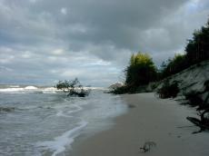 Klif w okolicach Czołpina (latarnia morska) po sztormie